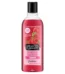 Alberto Balsam Sunkissed Raspberry Shampoo 300Ml-lBuy in Nigeria – OrderForMe