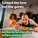 Dettol Antibacterial Surface Cleanser, 4 x 750ml