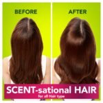 Herbal Essences Dazzling Shine Shampoo - Lime Essences 400ml-lBuy in Nigeria – OrderForMe